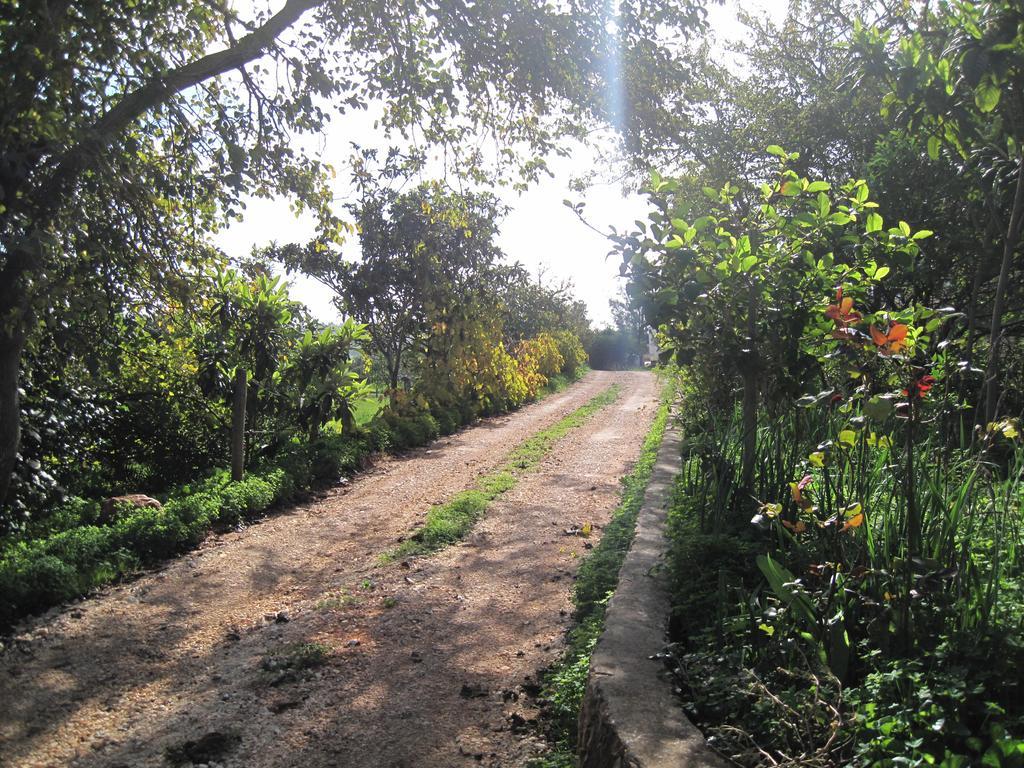 Quinta Das Seis Marias Lagos Exterior foto